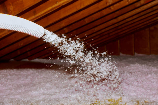 Best Professional Insulation Contractor  in Silver Summit, UT