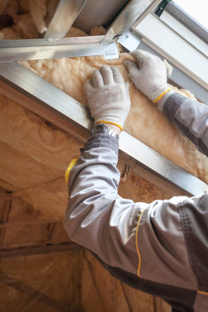 Best Home Insulation Services  in Silver Summit, UT