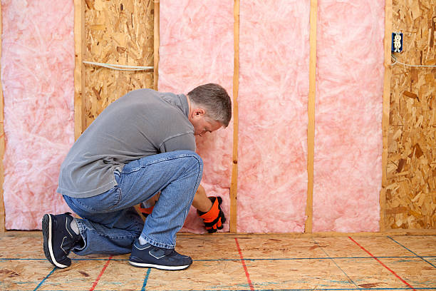Best Insulation Replacement Services  in Silver Summit, UT