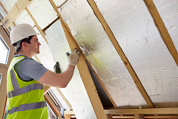 Best Insulation Removal  in Silver Summit, UT